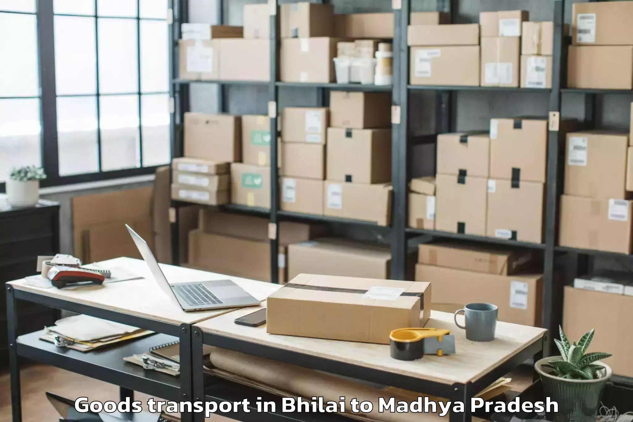 Book Your Bhilai to Alot Goods Transport Today